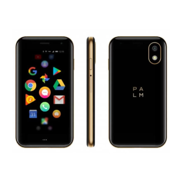 Palm PVG100