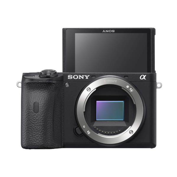 Sony A6600